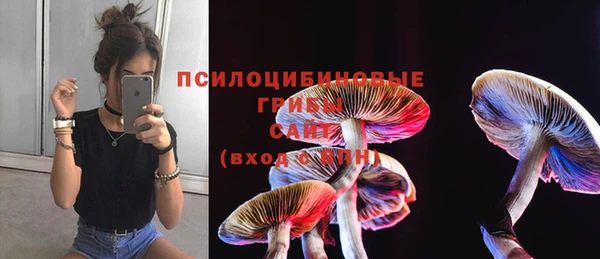 мет Абинск