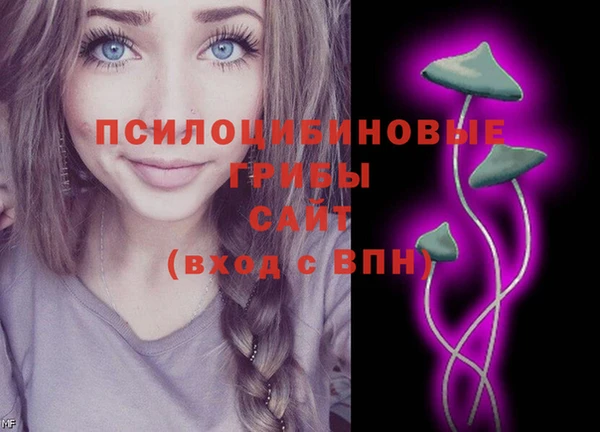 трава Алзамай