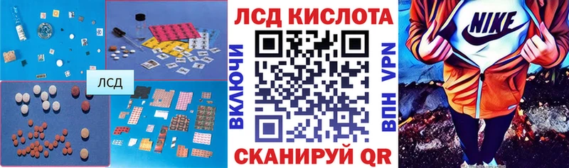 kraken как войти  Котлас  ЛСД экстази кислота  где купить наркоту 