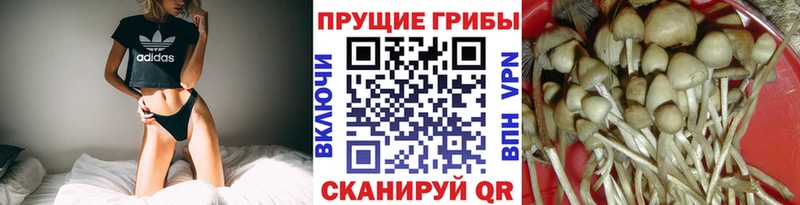 где можно купить   сайты даркнета Telegram  Галлюциногенные грибы ЛСД  Котлас 